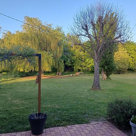 La Grange Des Roisnes Bed and Breakfast Longué Εξωτερικό φωτογραφία